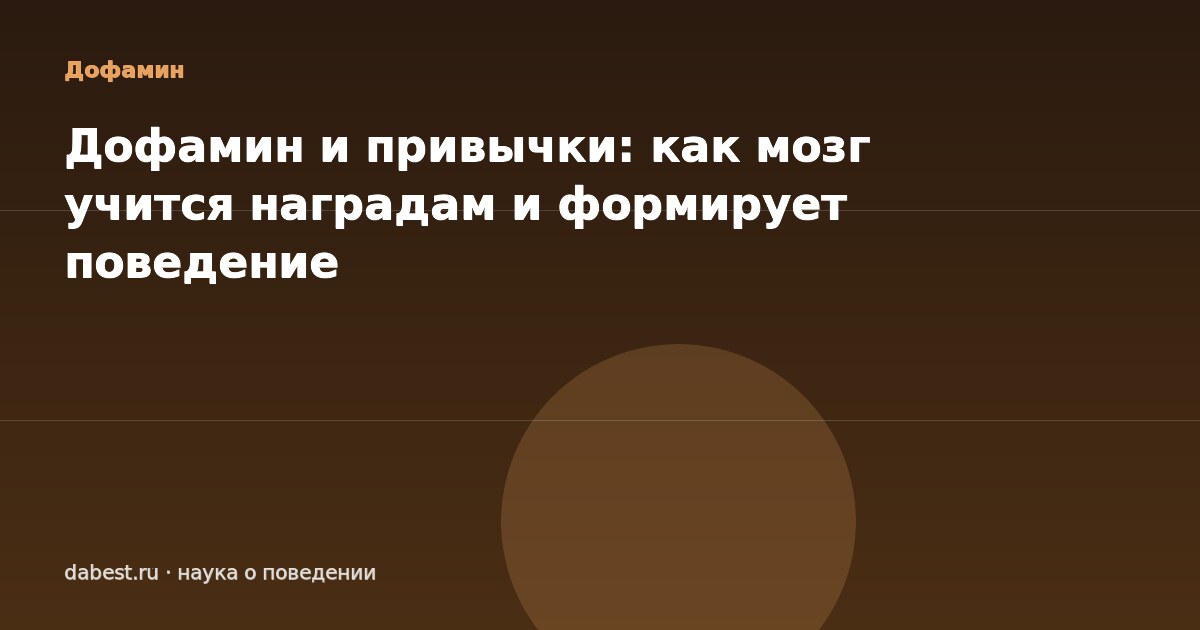 Дофамин и привычки: как мозг учится наградам и формирует поведение