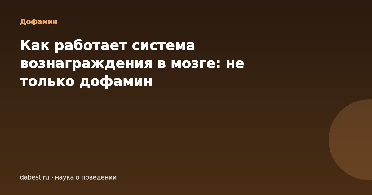 Как работает система вознаграждения в мозге: не только дофамин