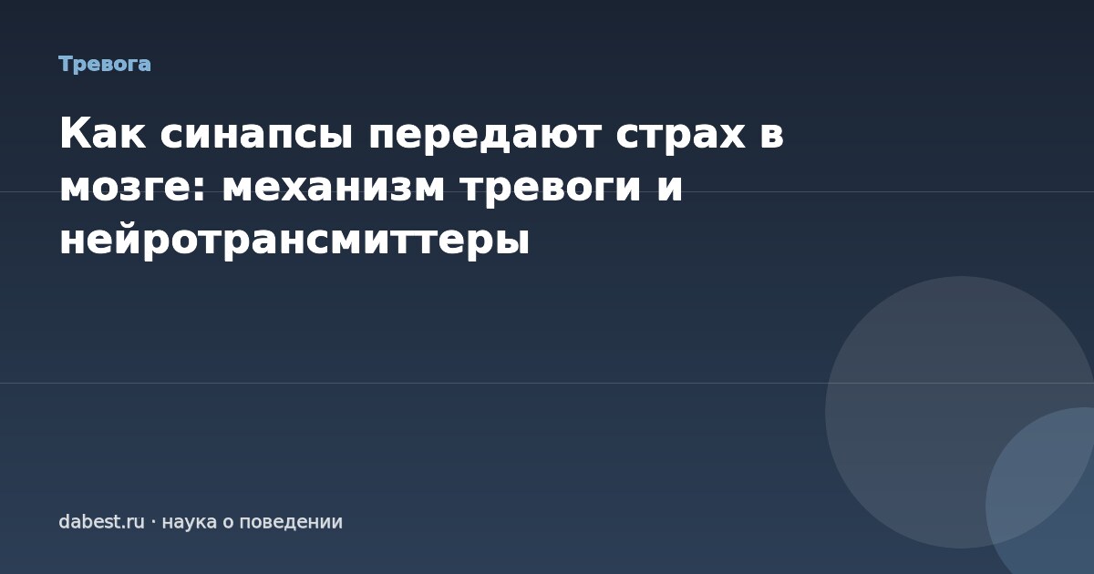 Как синапсы передают страх в мозге: механизм тревоги и нейротрансмиттеры