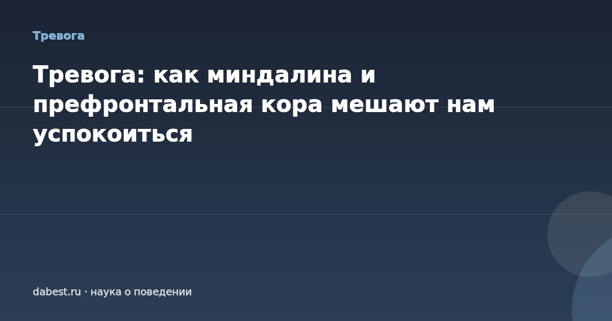 Тревога: как миндалина и префронтальная кора мешают нам успокоиться